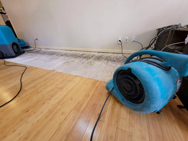 Professional Ceiling Water Damage Repair technician working in Brewster, MN